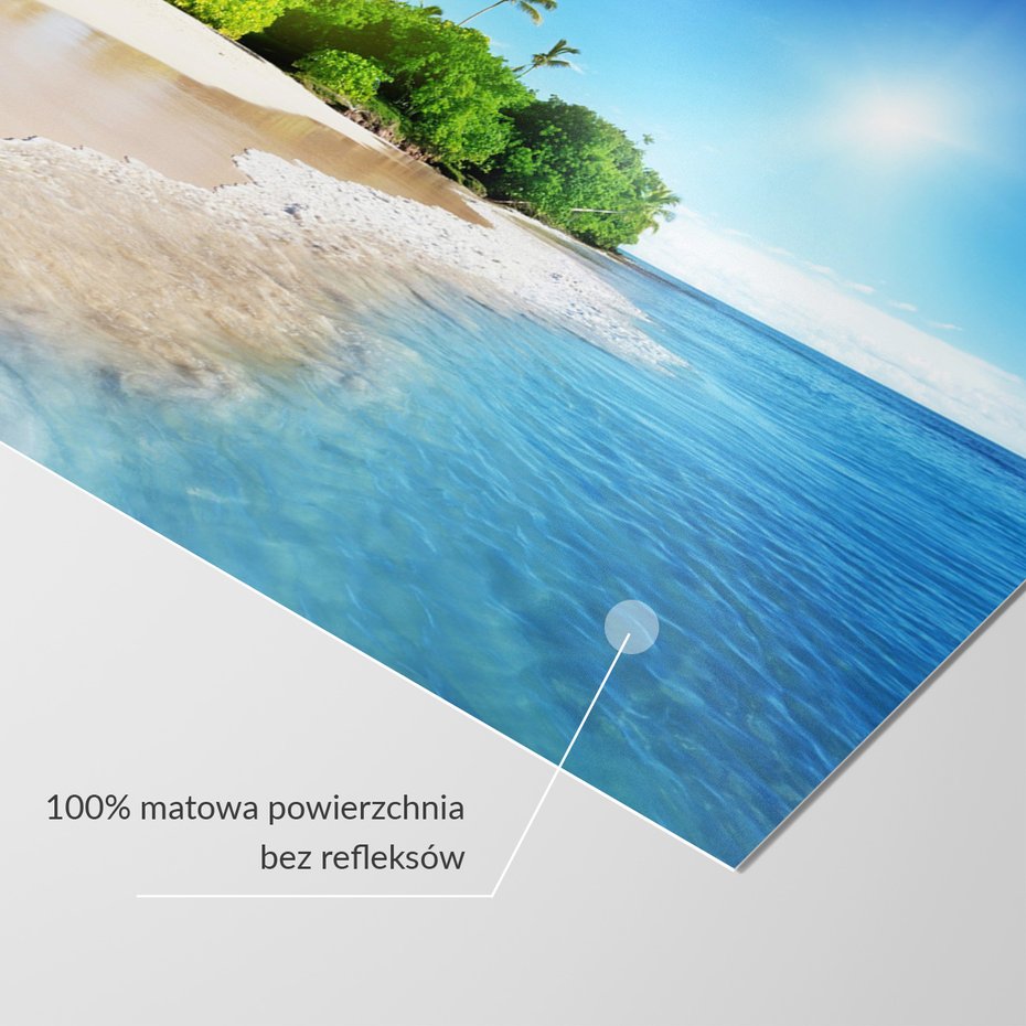 Fototapeta - plaża, morze, palmy