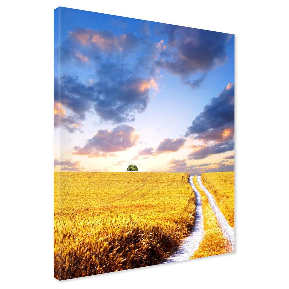 Obraz na płótnie - pole, drzewo, niebo