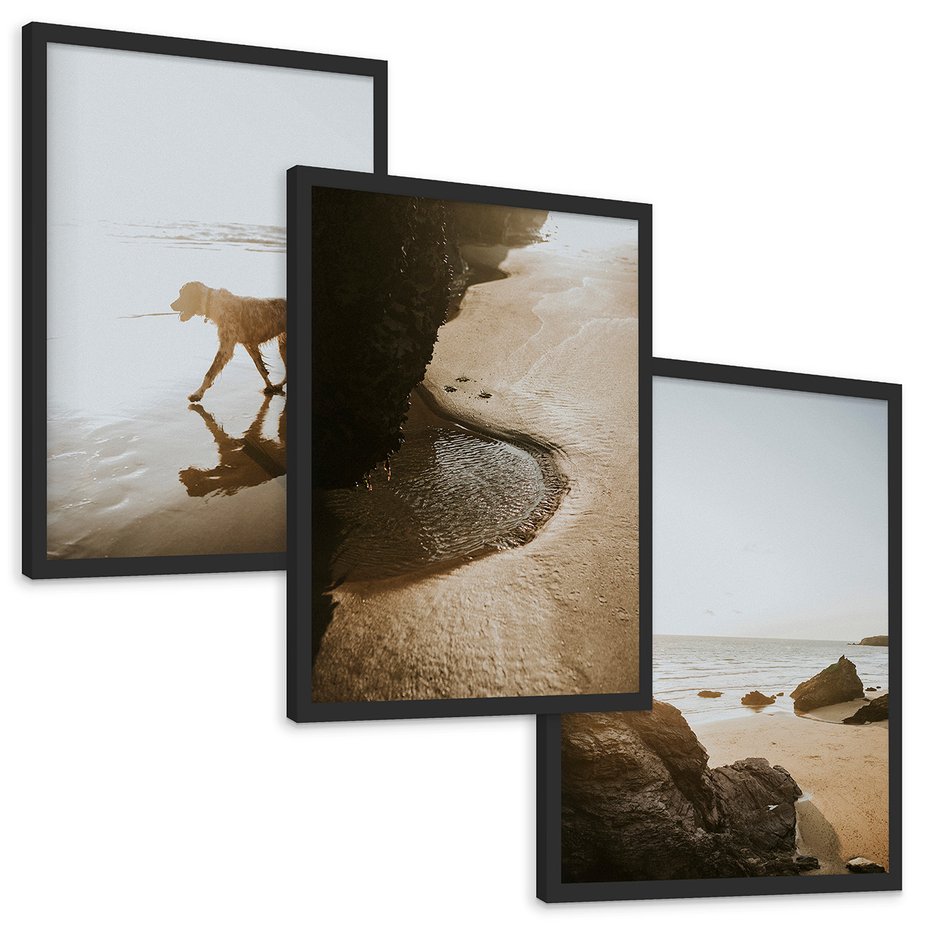 Zestaw obrazy w ramie, plakaty - plaża, morze, pies - rama czarna
