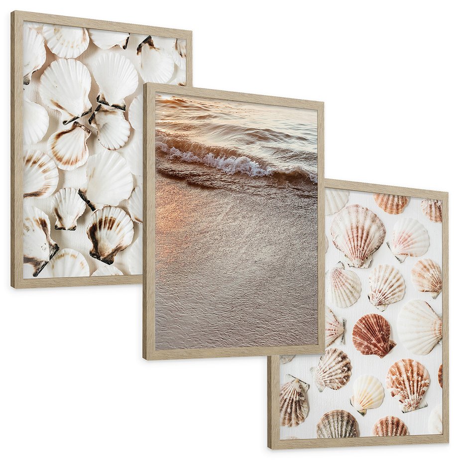 Zestaw obrazy w ramie, plakaty - muszle, plaża, woda - rama drewno