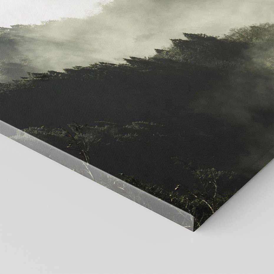 Obraz na płótnie - las, góry, mgła