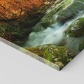 Obraz na płótnie - las, wodospad, jesień