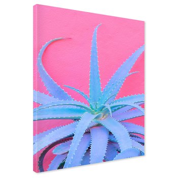 Obraz na płótnie - aloes, roślina, różowy