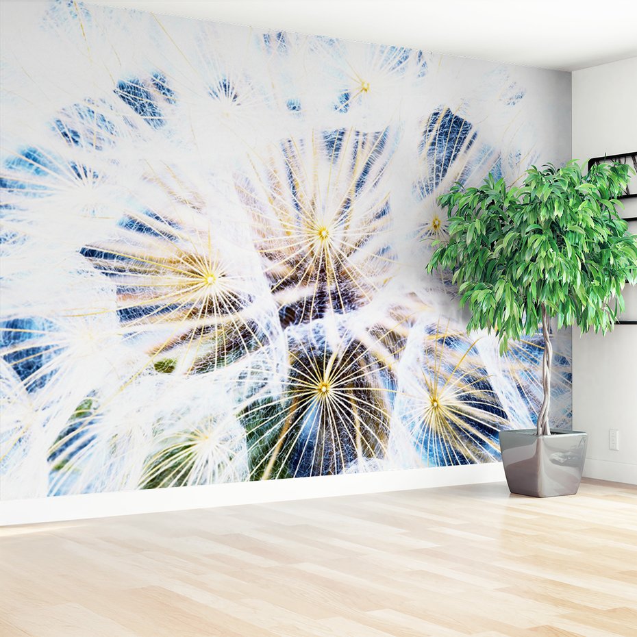 Fototapeta - dmuchawiec, natura, abstrakcja