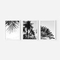 Zestaw obrazy w ramie, plakaty - palmy, liście, tropikalne - rama biała