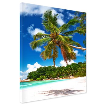 Obraz na płótnie - plaża, palmy, morze