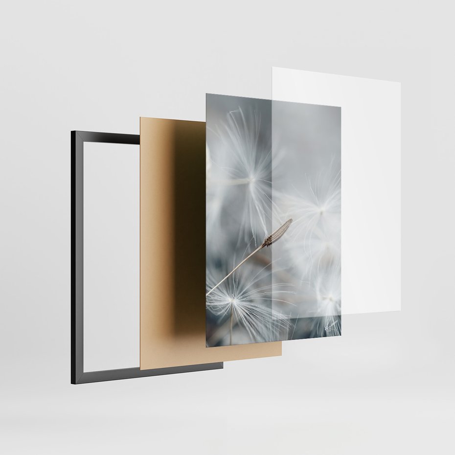 Zestaw obrazy w ramie, plakaty - dmuchawiec, nasiona, natura - rama czarna