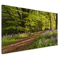 Obraz na płótnie - las, ścieżka, kwiaty