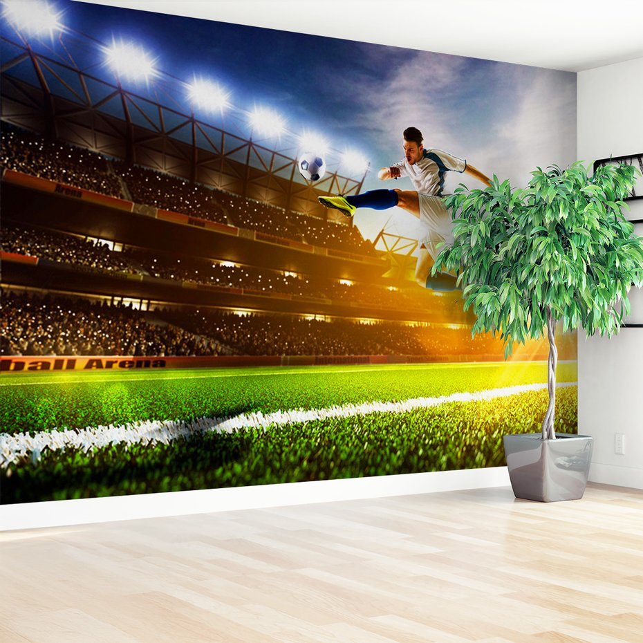 Fototapeta - piłka nożna, stadion, sport