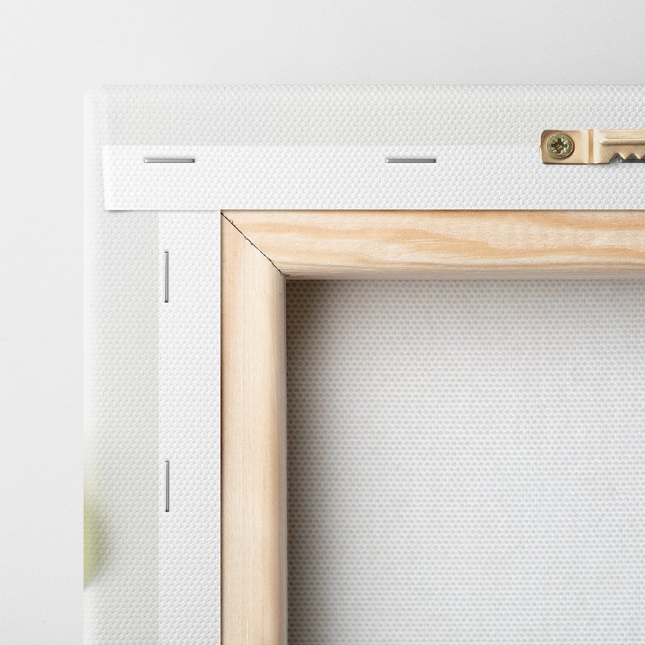 Obraz na płótnie - limonka, owoce, cytrusy