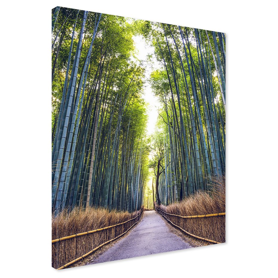 Obraz na płótnie - bambus, las, ścieżka
