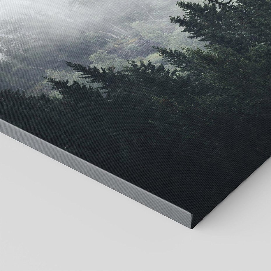 Obraz na płótnie - las, mgła, drzewa