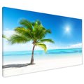 Obraz na płótnie - palma, plaża, morze