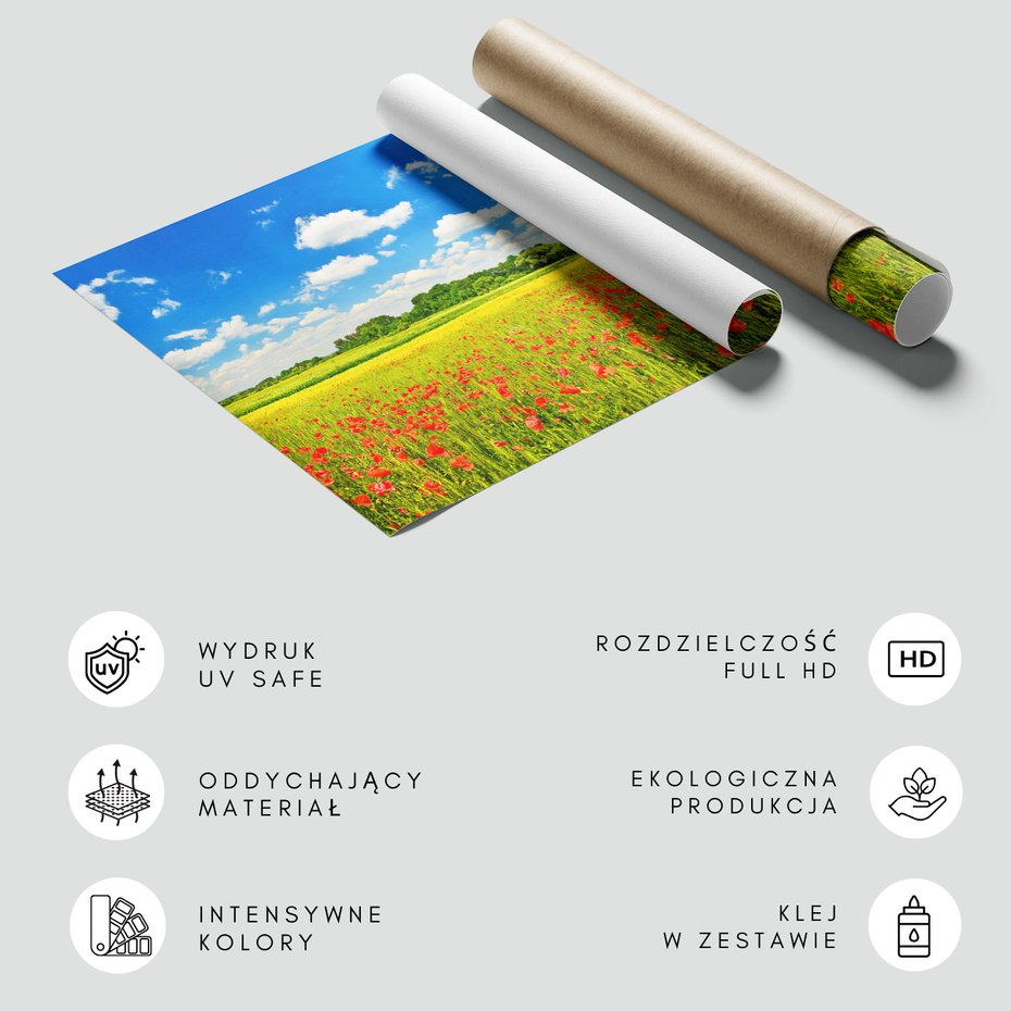 Fototapeta - łąka, kwiaty, niebo