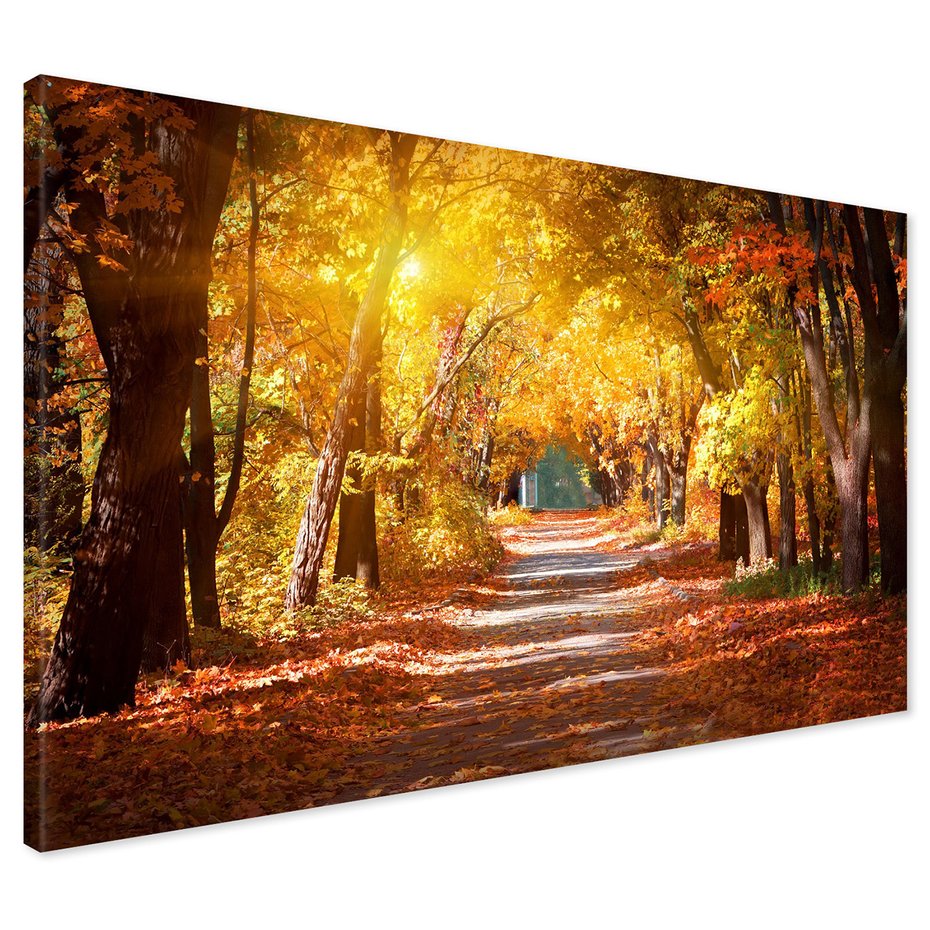 Obraz na płótnie - jesień, liście, drzewa