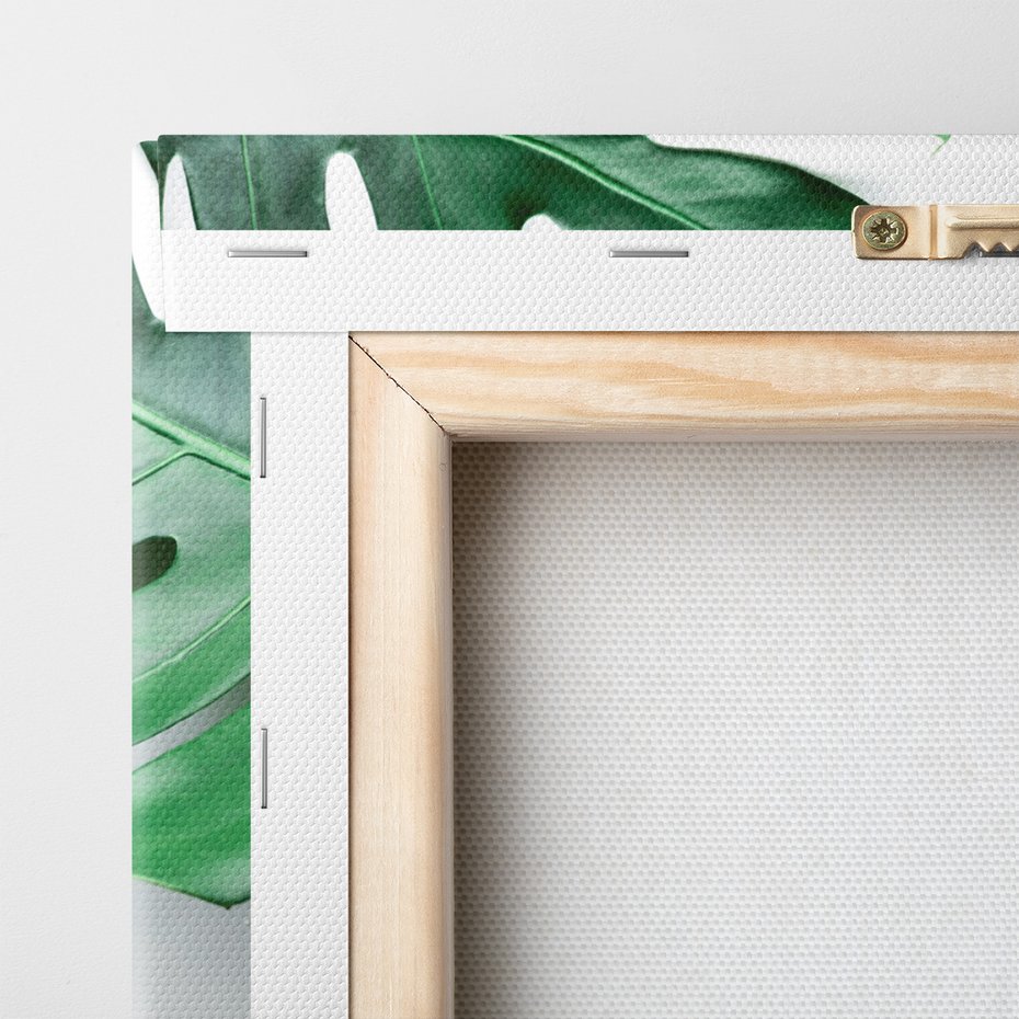 Obraz na płótnie - monstera, liście, roślina