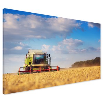 Obraz na płótnie - Kombajn, Pole, Niebo