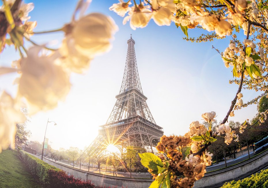 Fototapeta - Paryż, Wieża Eiffla, kwiaty