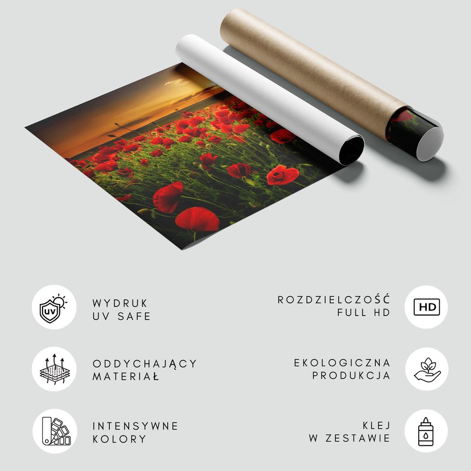 Fototapeta - maki, pole, zachód słońca