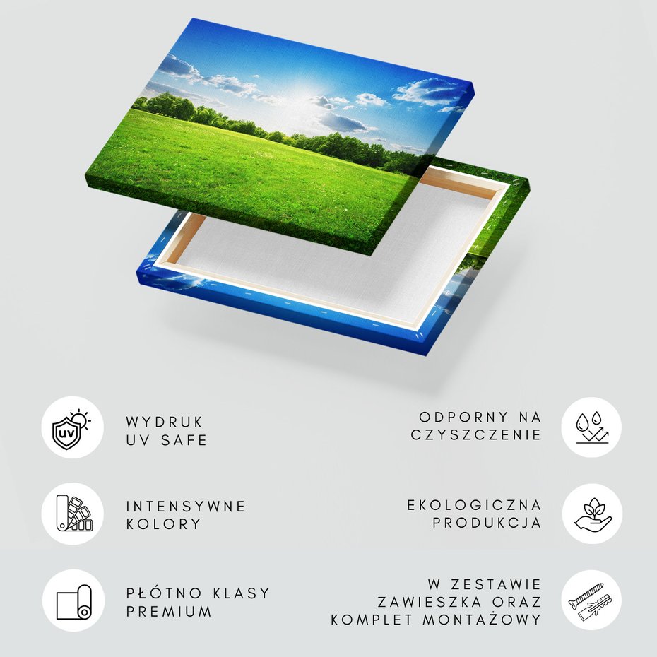 Obraz na płótnie - łąka, niebo, chmury