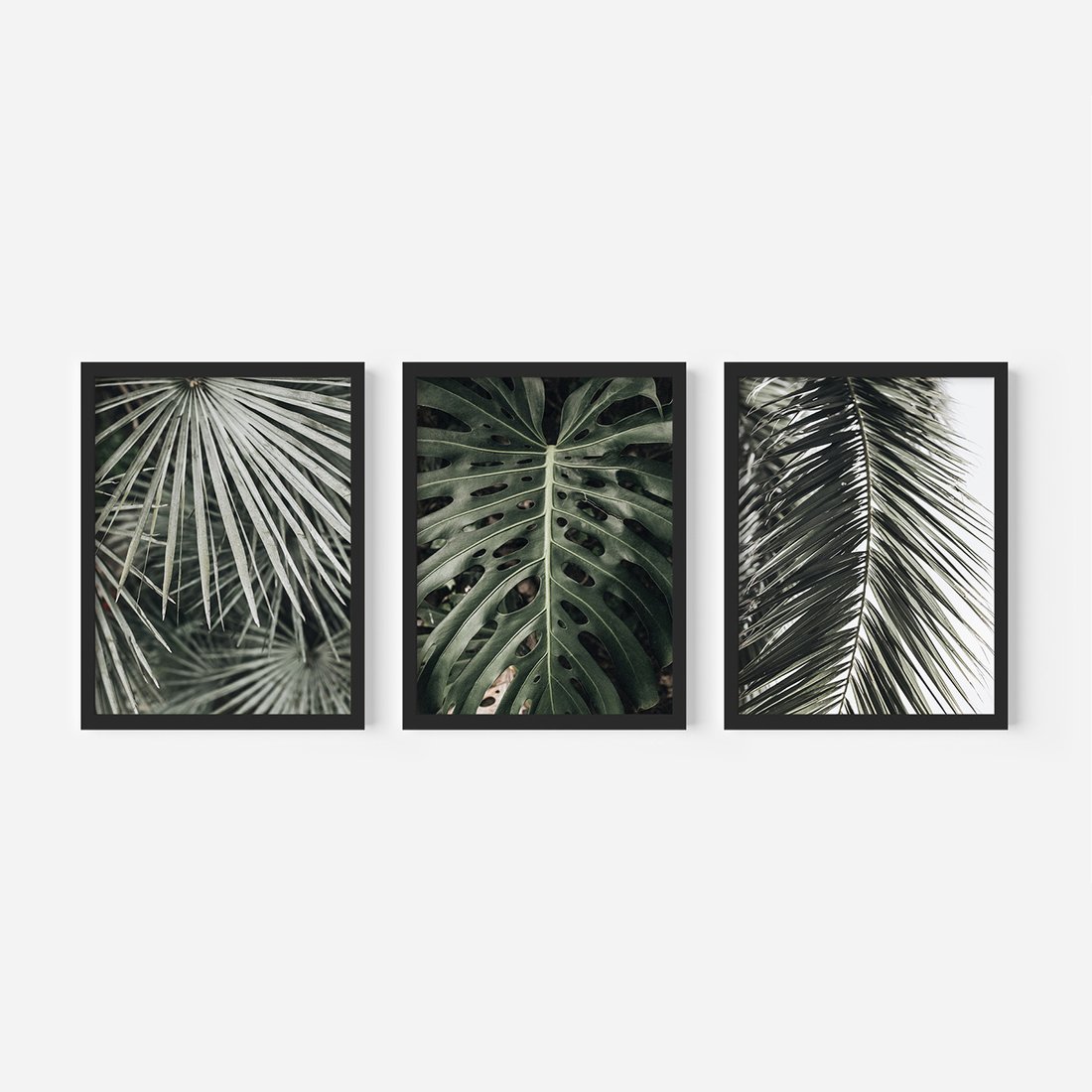 Zestaw obrazy w ramie, plakaty - liście, palmy, tropikalne - rama czarna