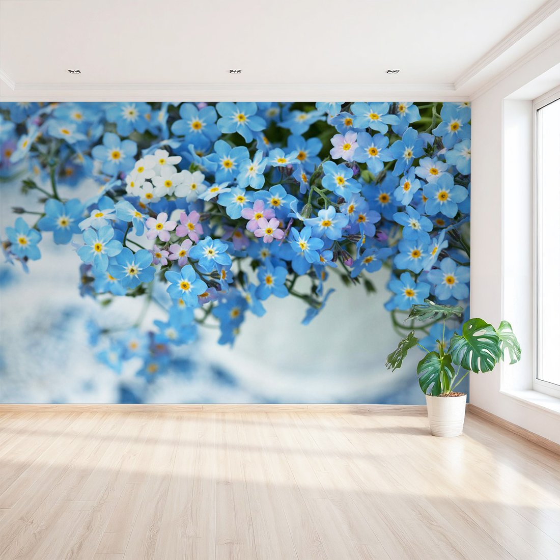 Fototapeta - kwiaty, niezapominajki, wiosna