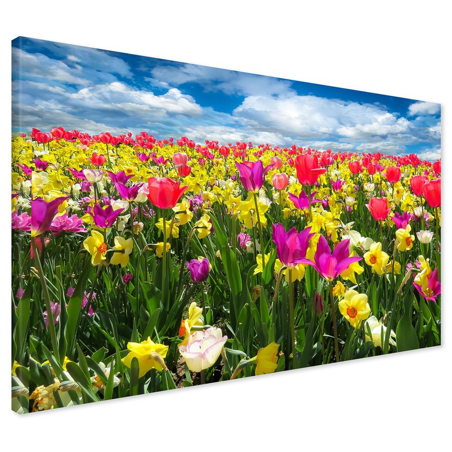 Obraz na płótnie - kwiaty, tulipany, wiosna