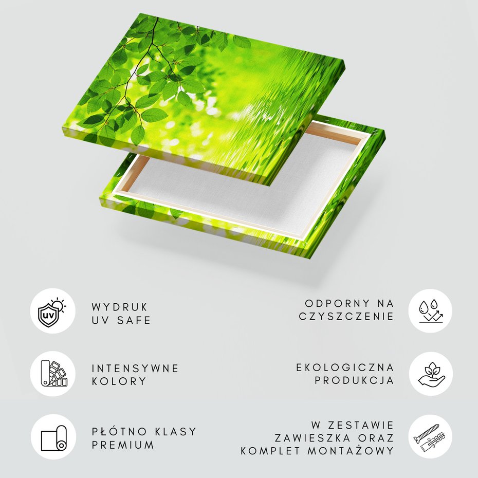 Obraz na płótnie - liście, woda, zieleń