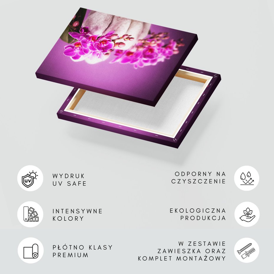 Obraz na płótnie - orchidea, kamienie, fioletowy