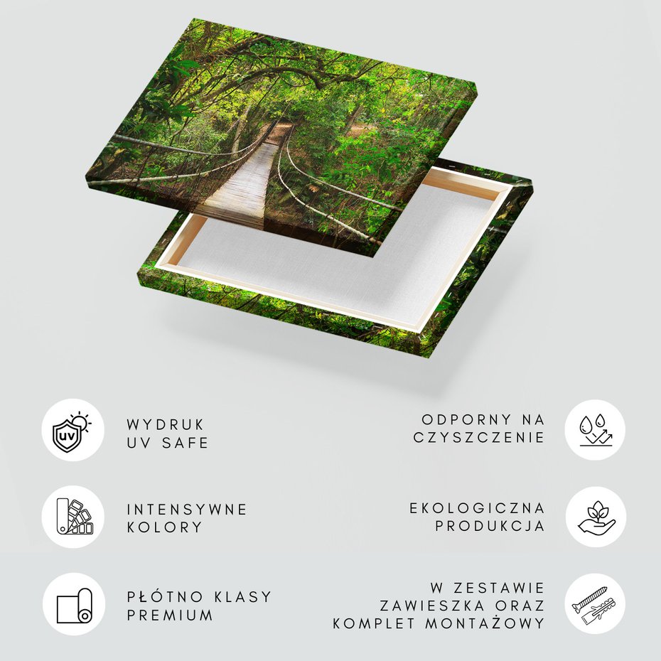 Obraz na płótnie - las, most, natura