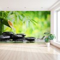Fototapeta - bambus, kamienie, woda