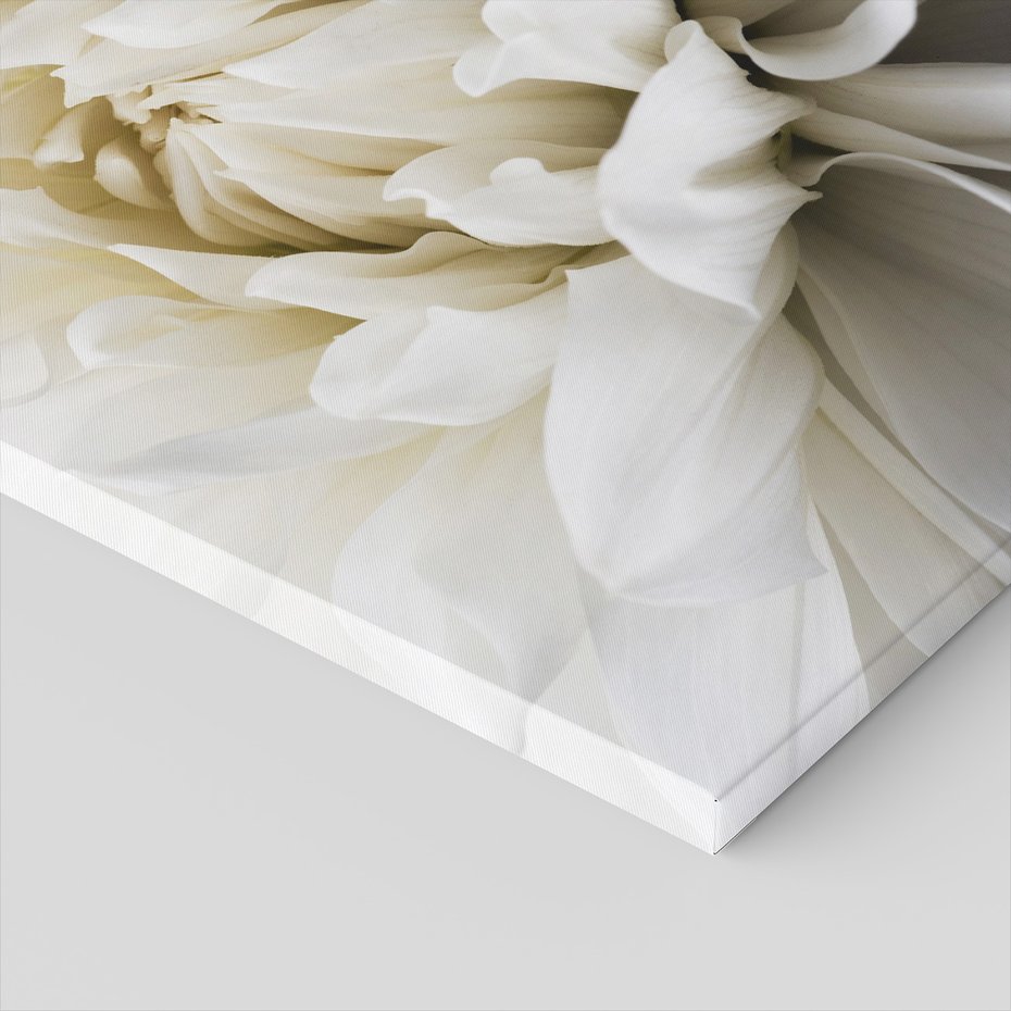 Obraz na płótnie - kwiat, płatki, biały