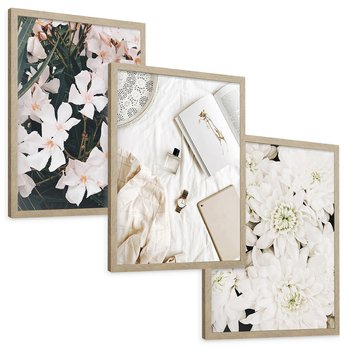 Zestaw obrazy w ramie, plakaty - kwiaty, biały, roślina - rama drewno