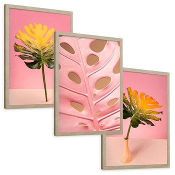 Zestaw obrazy w ramie, plakaty - liść, monstera, roślina - rama drewno