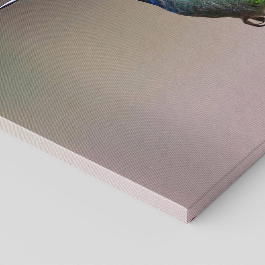 Obraz na płótnie - Koliber, Ptak, Natura