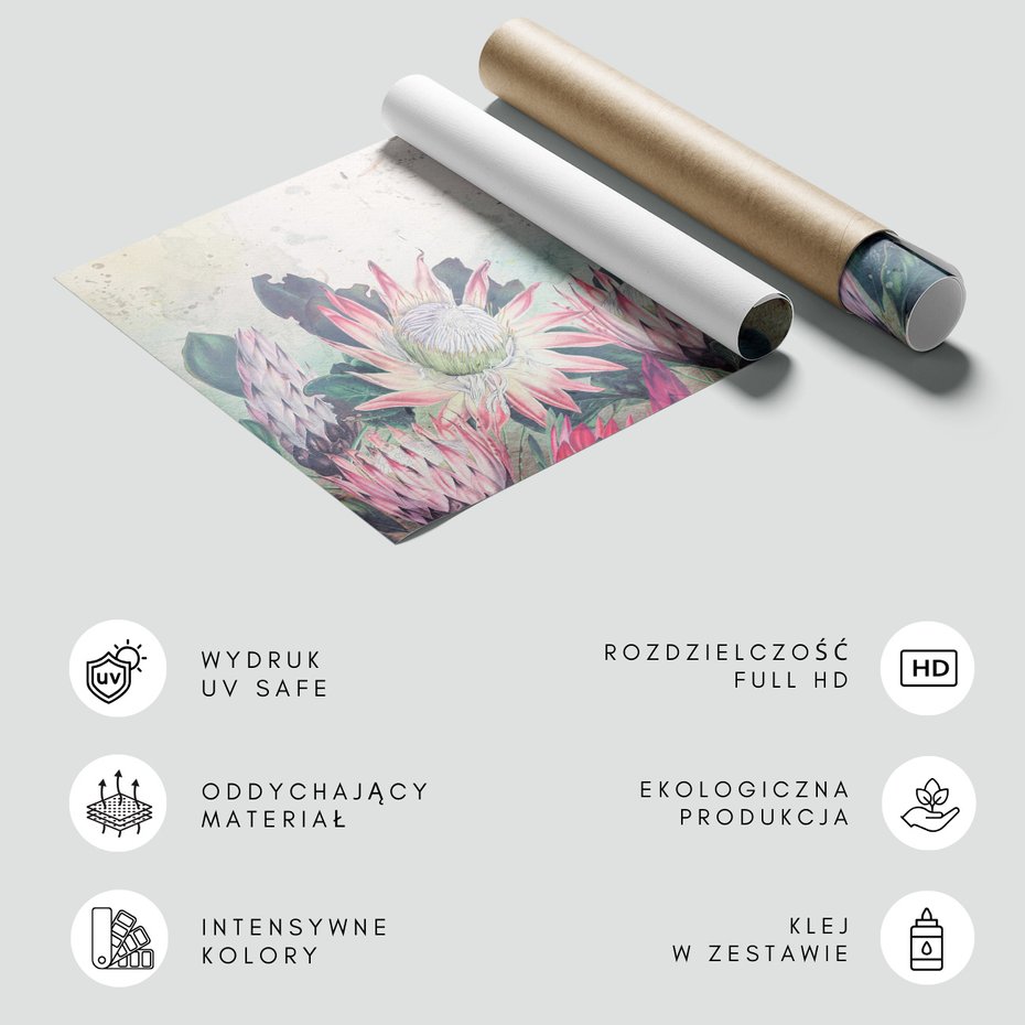 Fototapeta - kwiaty, kaktus, abstrakcja