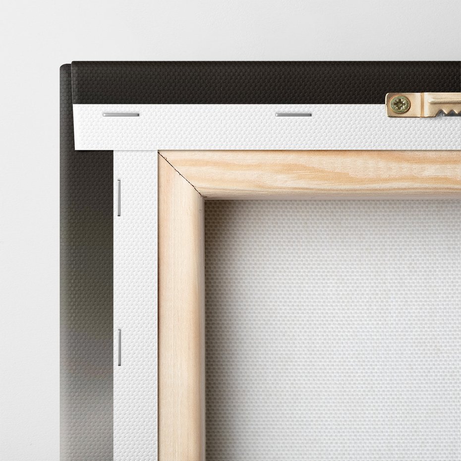 Obraz na płótnie - słoń, afrykański, ssak