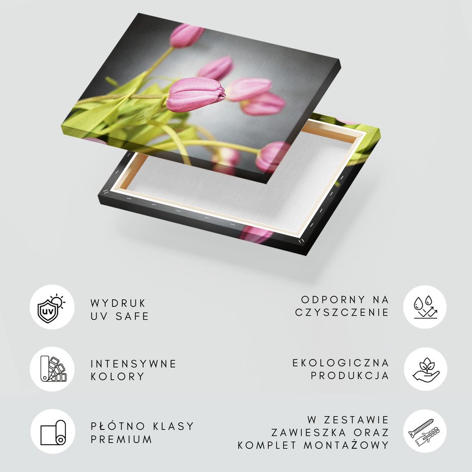 Obraz na płótnie - tulipany, kwiaty, różowe