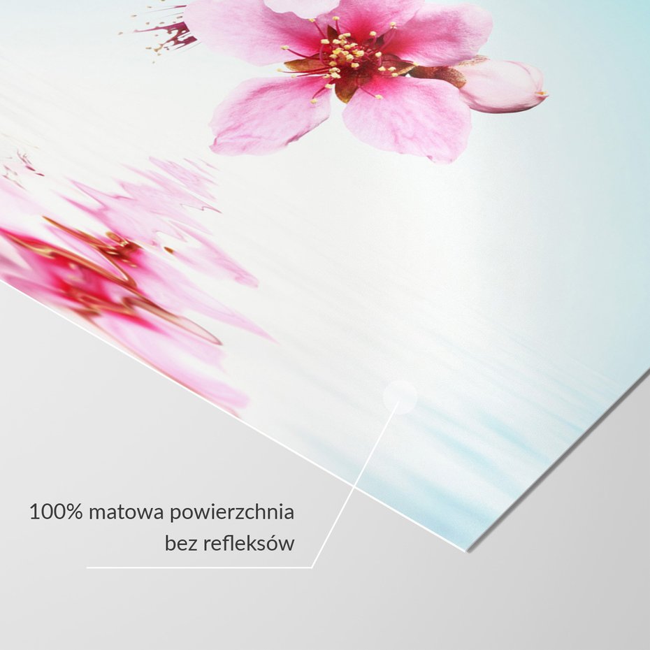 Fototapeta - kwiaty, woda, odbicie