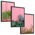 Zestaw obrazy w ramie, plakaty - rośliny, kaktusy, różowy - rama czarna