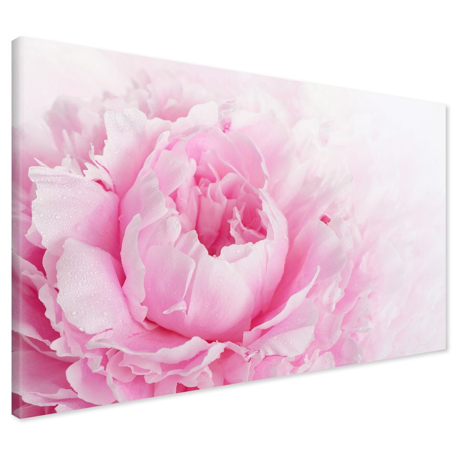 Obraz na płótnie - kwiat, płatki, różowy