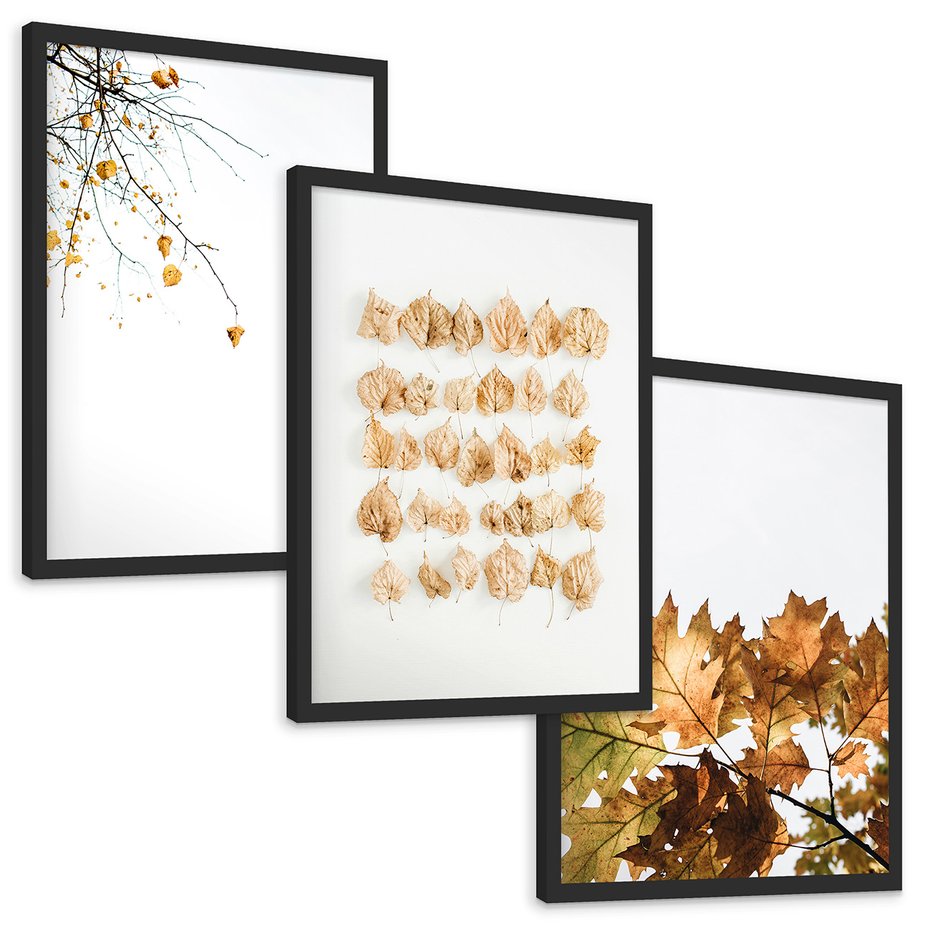 Zestaw obrazy w ramie, plakaty - liście, jesień, gałęzie - rama czarna