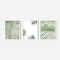 Zestaw obrazy w ramie, plakaty - liście, palmy, tropikalne - rama biała