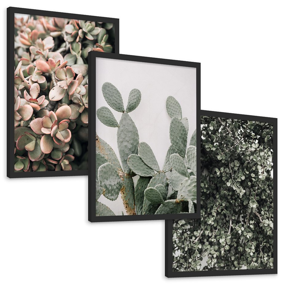 Zestaw obrazy w ramie, plakaty - rośliny, kaktus, liście - rama czarna