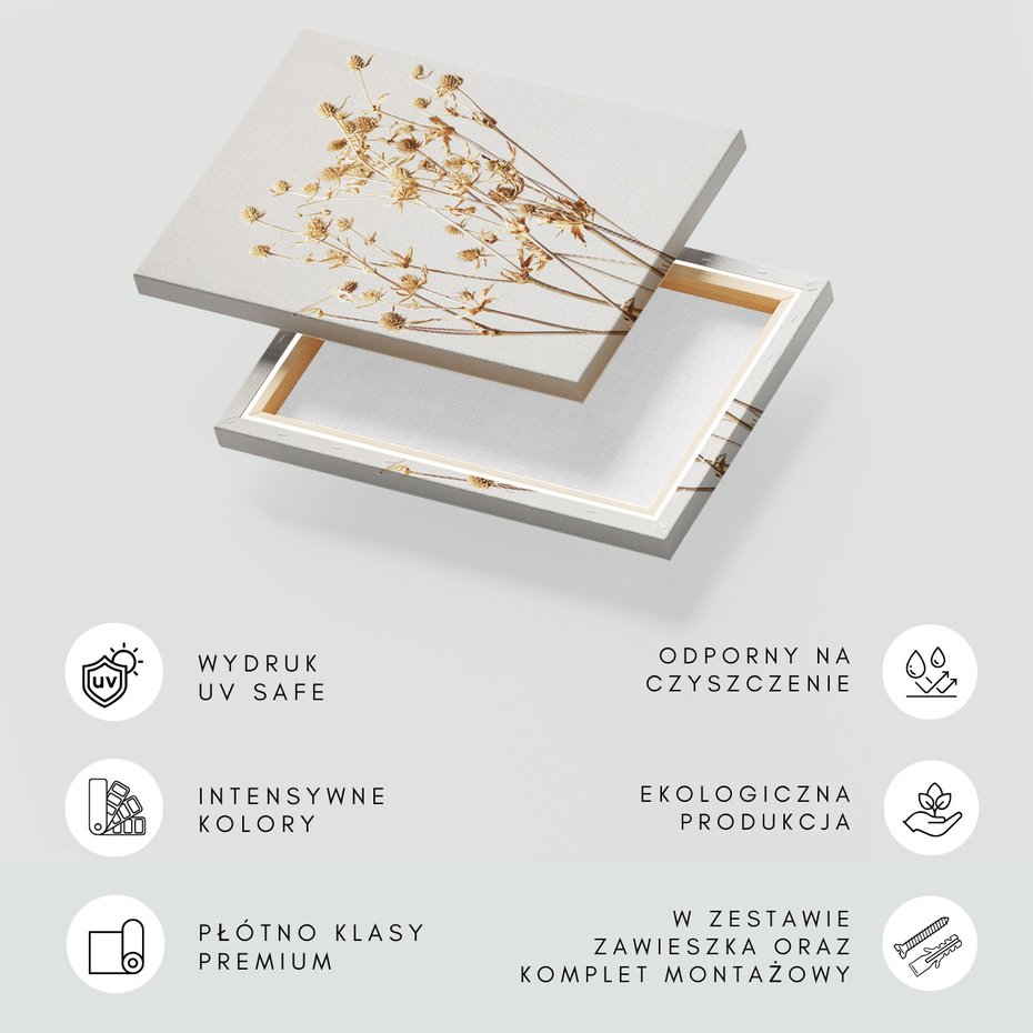 Obraz na płótnie - kwiaty, suszone, beżowe