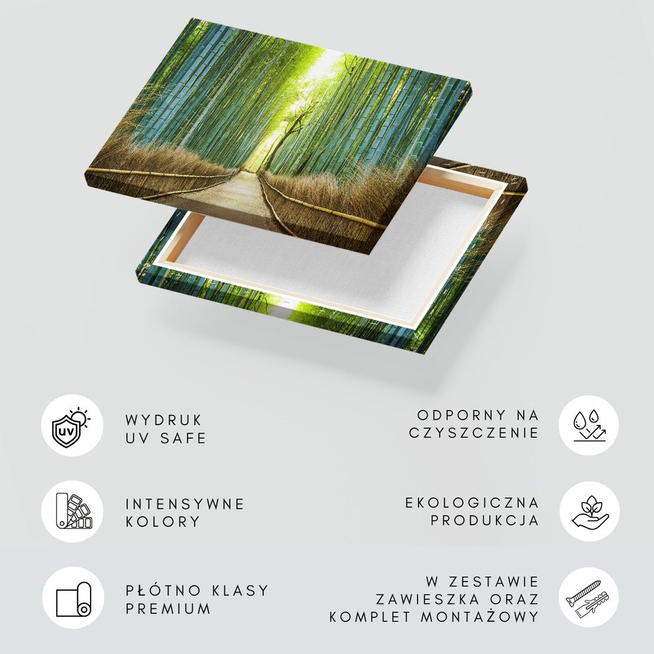 Obraz na płótnie - bambusowy, las, ścieżka