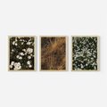 Zestaw obrazy w ramie, plakaty - kwiaty, rośliny, natura - rama drewno