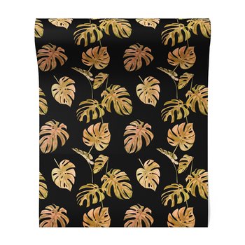 Tapeta - liście, monstera, natura