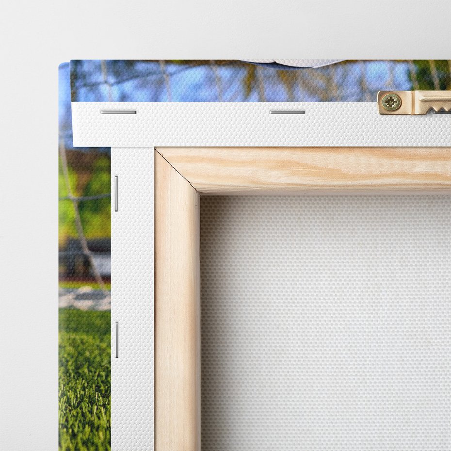 Obraz na płótnie - piłka, sport, trawa