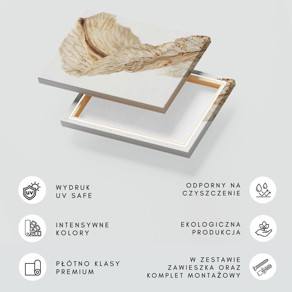 Obraz na płótnie - kwiat, suchy, abstrakcja